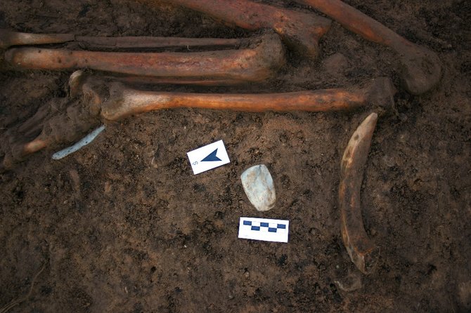 Karolio Duderio nuotr. /Archeologai atidengia neolito laikų kapą.