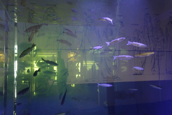 Jurgitos Lapienytės nuotr./Kuveito paviljone yra ir akvariumas