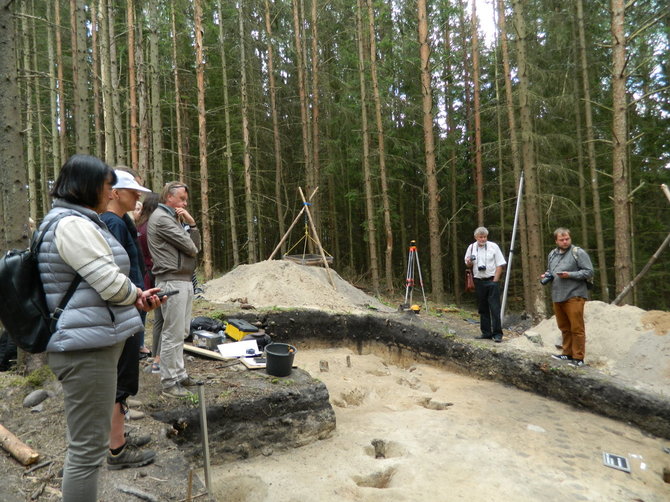 Mineikiškių piliakalnis