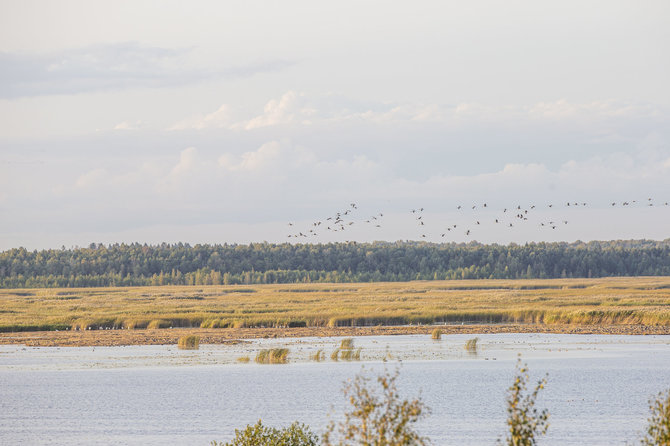 Ernestos Čičiurkaitės / 15min nuotr./Žuvinto biosferos rezervatas