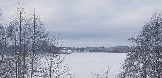 15min nuotr./Galuonų ežeras žiemą