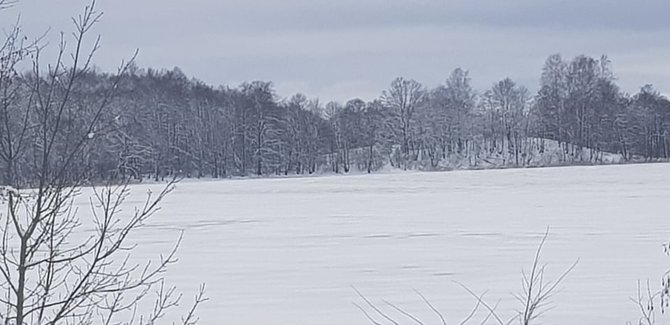 15min nuotr./Galuonų ežeras žiemą