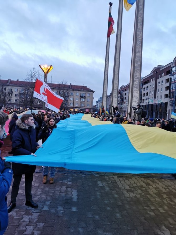 15min nuotr./Ukrainos palaikymo akcija Vilniuje