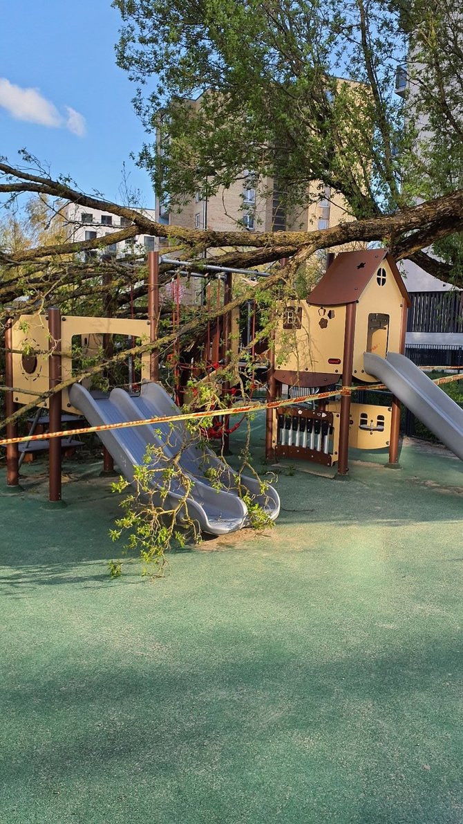 UAB „Grinda“ nuotr./Medis krito ant vaikų žaidimų aikštelės Amatų/Naugarduko g. kampe