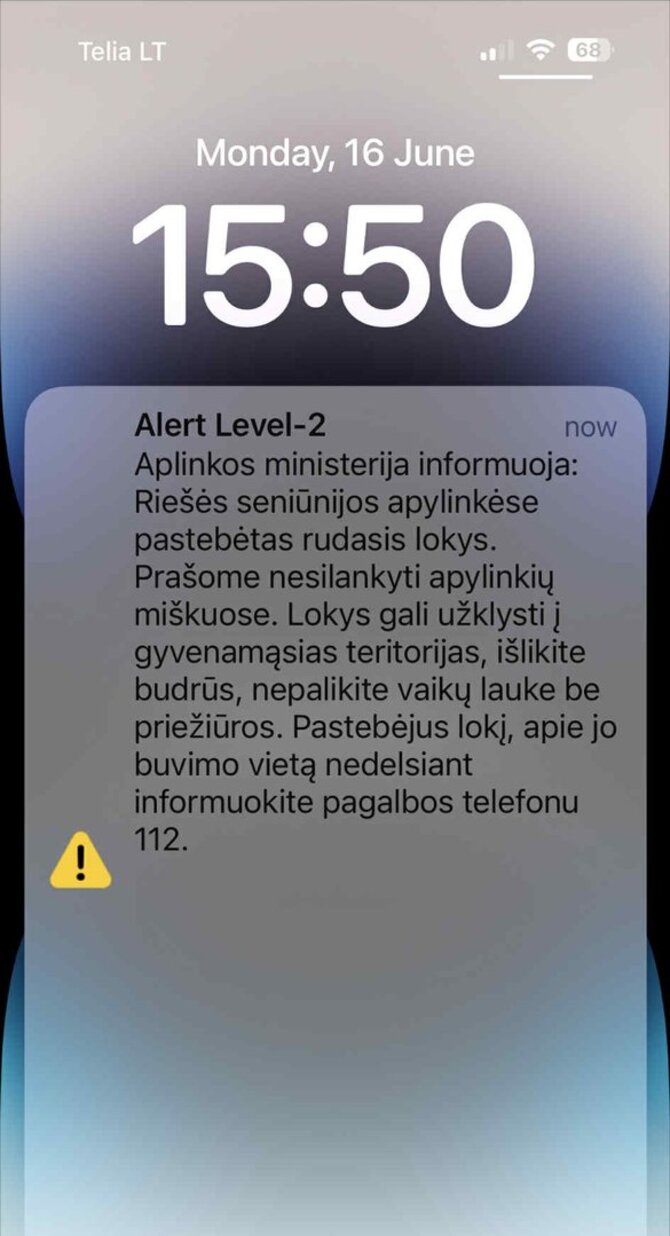 Pranešimas apie klaidžiojantį rudąjį lokį
