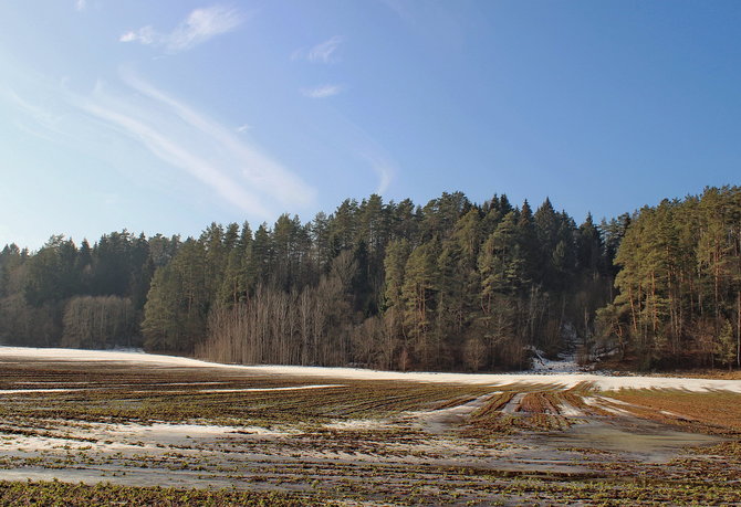 Vykinto Vaitkevičiaus nuotr./Grabijolų piliakalnis, žvelgiant iš rytų (slėnyje įsikūrusio kaimo pusės)