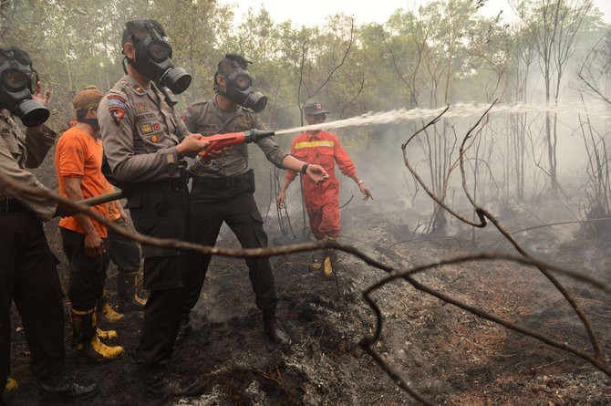 AFP/„Scanpix“ nuotr./Borneo saloje kovojama su miškų gaisrais