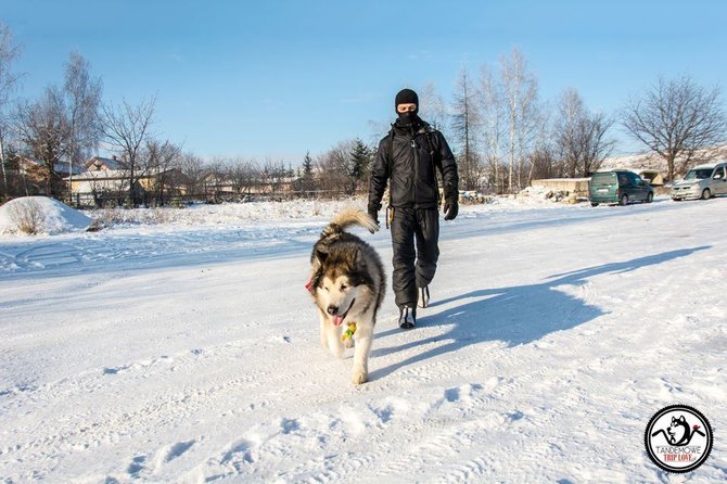 „Facebook“ nuotr./Keliautojai iš Lenkijos į Laplandiją vyksta su šunimi