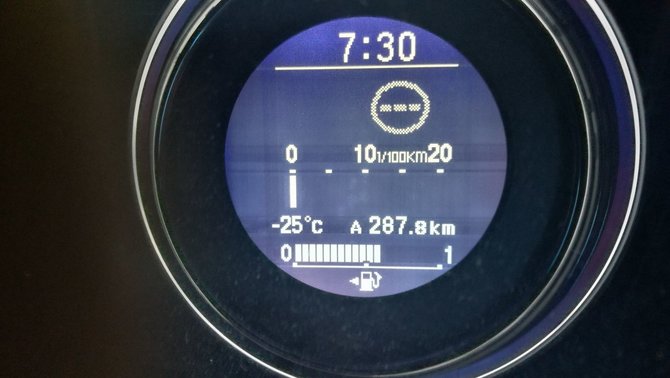 15min skaitytojo Audriaus nuotr./25 laipsnius šalčio termometras užfiksavo Vilniaus rajone, Didžiųjų Lygainių kaime