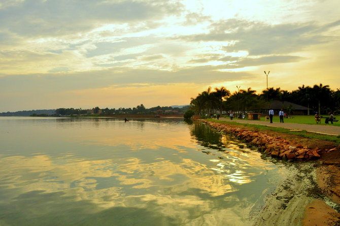 M.Vadišio nuotr./Viktorijos ežero pakrantė Kampaloje
