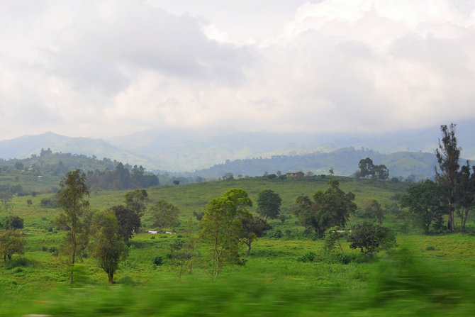 M.Vadišio nuotr./Ugandos kalnai ir slėniai