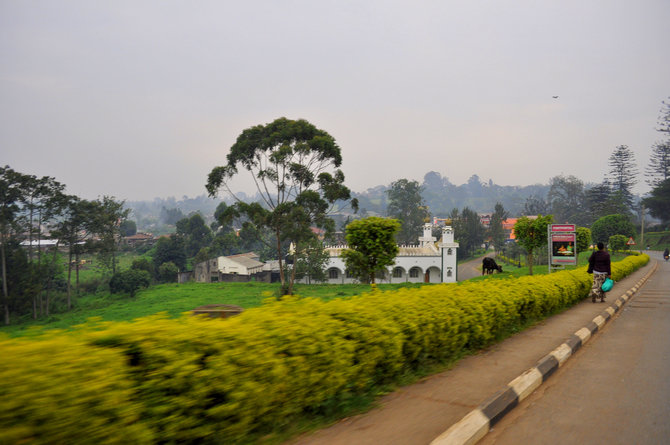 M.Vadišio nuotr./Tai pakankamai žalias ir tvarkingas Ugandos miestas