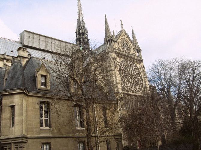 R.Trukanavičiūtės nuotr./Dievo Motinos katedra Paryžiuje (2)