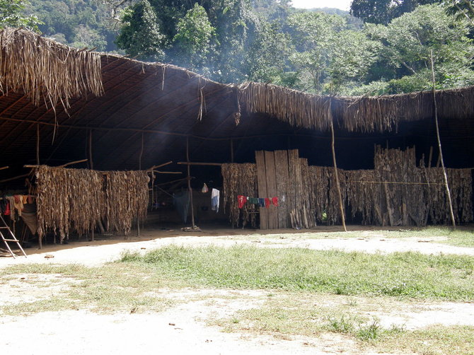 G.Juodpusio nuotr./Ekspedicija Venesueloje – pas atokią janomamų gentį