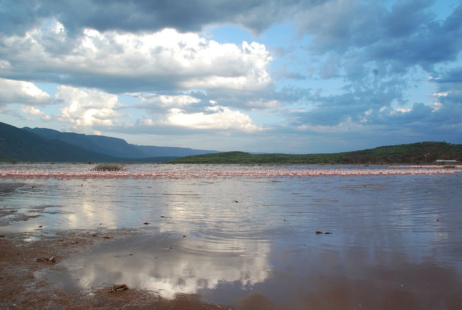 E.Digrytės nuotr./Flamingais ir geizeriais garsėjantis Bogorijos ežeras