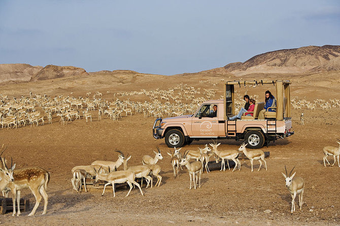 Wikimedia.org nuotr./Dykumų safaris saloje