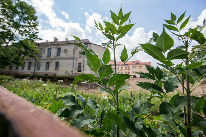 Luko Balandžio / 15min nuotr./Šv. Jokūbo ligoninės teritorija