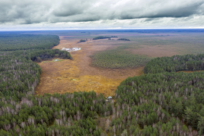 Luko Balandžio / 15min nuotr./Čepkelių gamtinis valstybinis rezervatas 