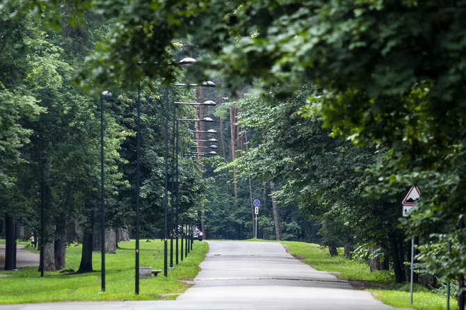 Luko Balandžio / 15min nuotr./Vingio parkas