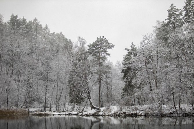 Luko Balandžio / 15min nuotr./Vilnių nuklojo sniegas