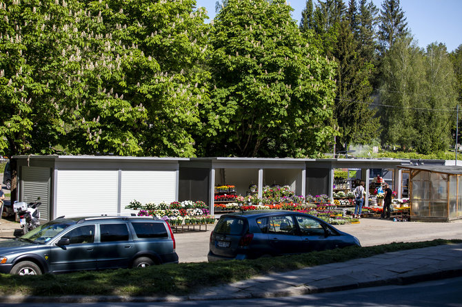 Luko Balandžio / 15min nuotr./Prekyba gėlėmis prie Rokantiškių kapinių