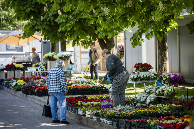 Luko Balandžio / 15min nuotr./Prekyba gėlėmis prie Rokantiškių kapinių