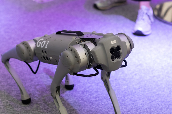 Lukas Balandis / BNS nuotr./Tecnologijų kompanijos „Accenture“ šuo robotas