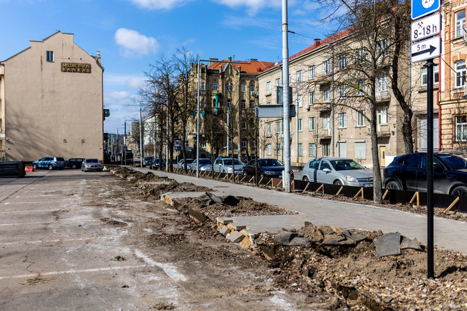 Lukas Balandis / BNS nuotr./Pernai pasodinti medžiai Vilniaus centre kažkodėl jau išrauti