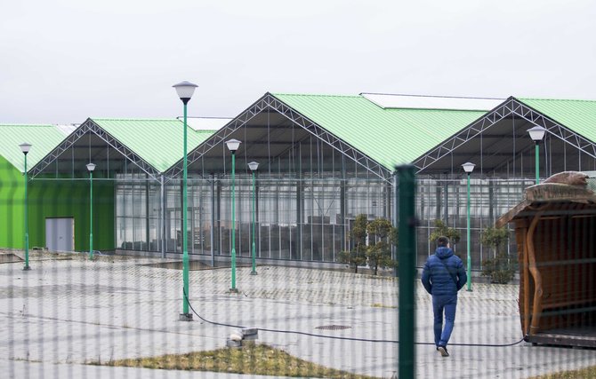 Luko Balandžio/15min.lt nuotr./Žiežmarių gėlės