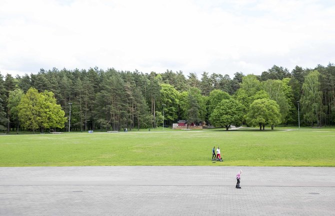 Luko Balandžio / 15min nuotr./Vingio parkas