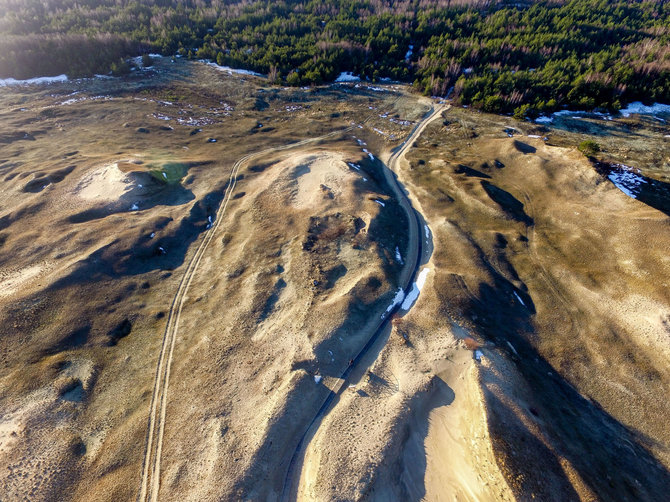 Luko Balandžio / 15min nuotr./Naglių pažintinis takas