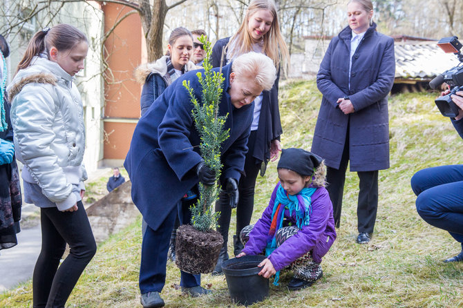 Luko Balandžio / 15min nuotr./Dalia Grybauskaitė akcijoje DAROM sodino medelį