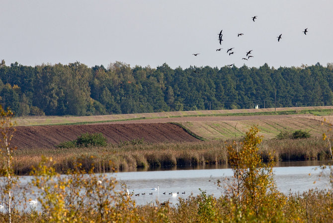 Luko Balandžio / 15min nuotr./Žaltyčio botaninis–zoologinis draustinis