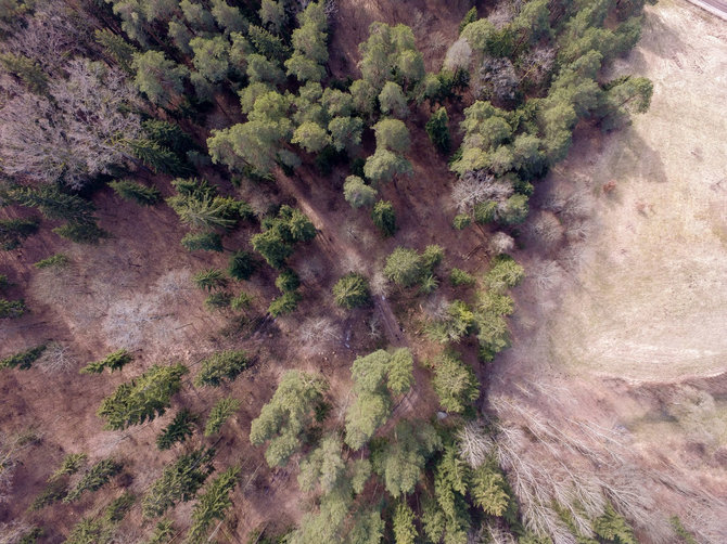 Luko Balandžio / 15min nuotr./Kulautuvos bendruomenę neramina jau keletą metų gana gausiai kertami miškai