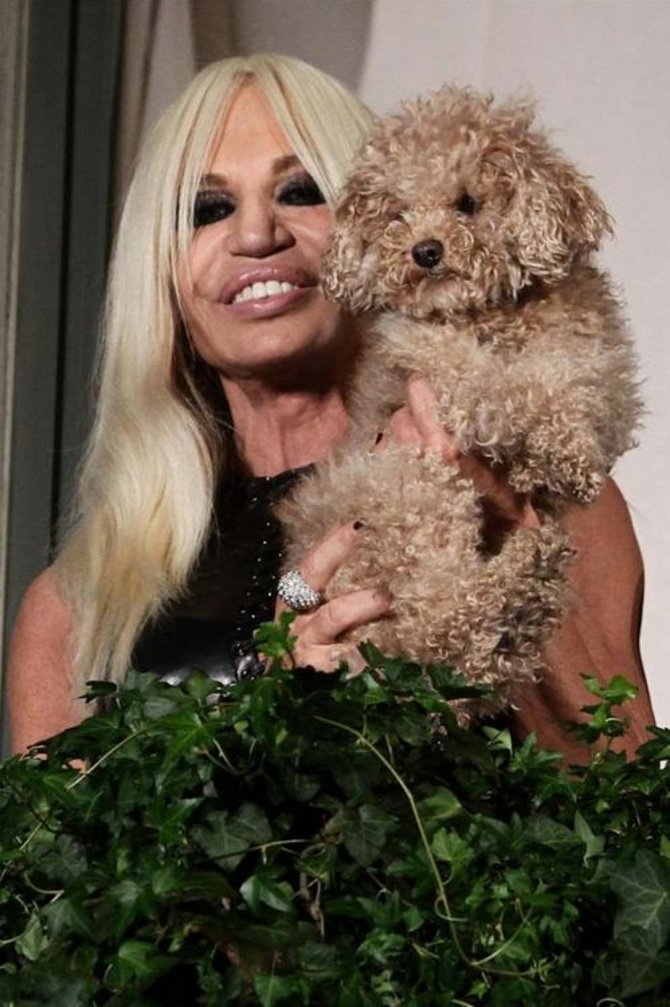 „Scanpix“ nuotr./Donatella Versace su Lady Gagos labradudelių veislės šuneliu Fozzi Bear