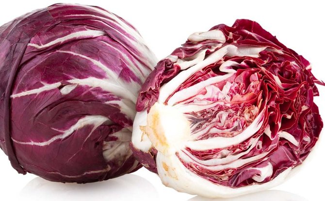 Fotolia nuotr./Radicchio salotos