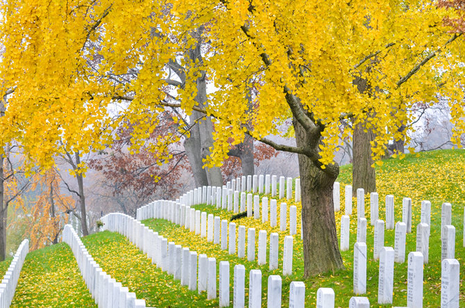 Shutterstock nuotr./Nacionalinės Arlingtono kapinės (JAV)