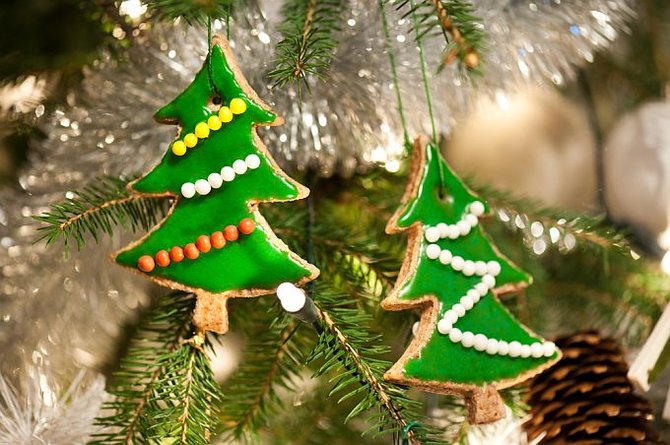 Shutterstock nuotr./Kalėdiniai sausainiai