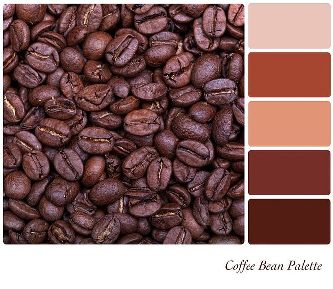 Shutterstock nuotr. / Paletė, sukurta pagal kavos pupelių atspalvį.