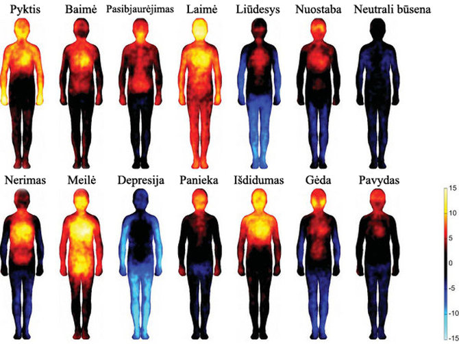 ria.ru nuotr. / Emocijų žemėlapis: kaip jos atsispindi mūsų kūne?