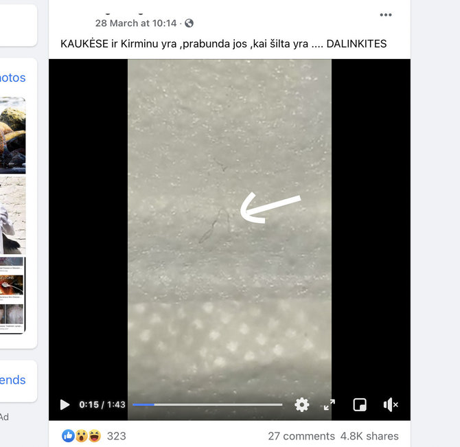 Ekrano nuotr. iš „Facebook“/Vaizdo įrašu, kuriame be jokių įrodymų aiškinama apie ant kaukės tariamai judančius kirminus, patikėjo tūkstančiai