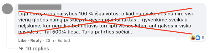 Ekrano nuotr. iš „Facebook“/Komentatorė nurodė iš globos namų darbuotojos girdėjusi, esą pasiskiepiję numirė visi gyventojai