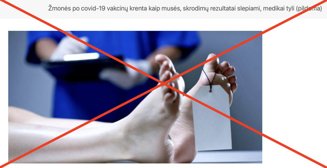 Ekrano nuotr. iš laisvaslaikrastis.lt/Lietuvoje kol kas nepatvirtinta nė viena mirtis nuo COVID-19 vakcinų
