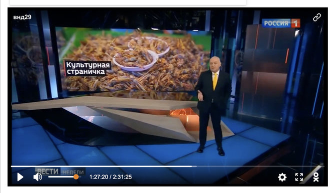 Ekrano nuotr. iš rustv-24.ru/Reportažą apie vabzdžius propagandininkas Dmitrijus Kiseliovas priskyrė naujienoms apie kultūrą 