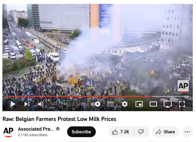 Ekrano nuotr. iš „YouTube“/Protestas vyko prie Europos Komisijos pastato, kuris yra ne Nyderlanduose, o Briuselyje