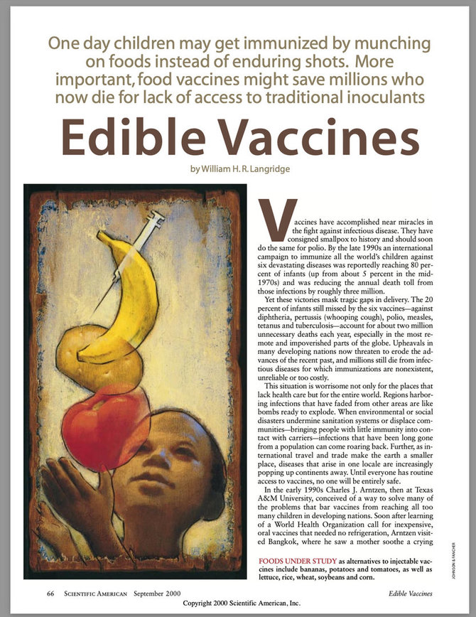 Biochemiko Williamo H.R.Langridge’o straipsnio, paskelbto 2000 m., ekrano nuotr./Galimybės augalus paversti valgomomis vakcinomis tiriama jau ne vieną dešimtmetį