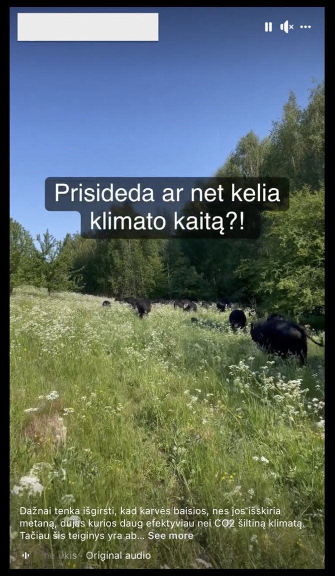 Ekrano nuotr. iš „Facebook“/Vaizdo įraše karvės ginamos nuo kaltinimų prisidedant prie klimato kaitos