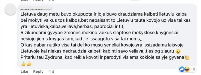 Ekrano nuotr. iš „Facebook“/Komentatoriai gyrė Žydrūną Savicką ir pritarė jo raginimui per NATO renginį demonstruoti Lietuvos vėliavas