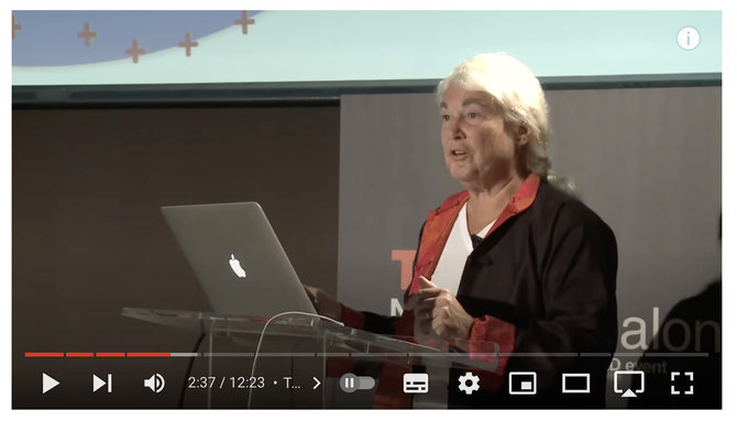 Ekrano nuotr. iš „YouTube“ / „TEDx Talks“ kanalo/Stephanie Seneff