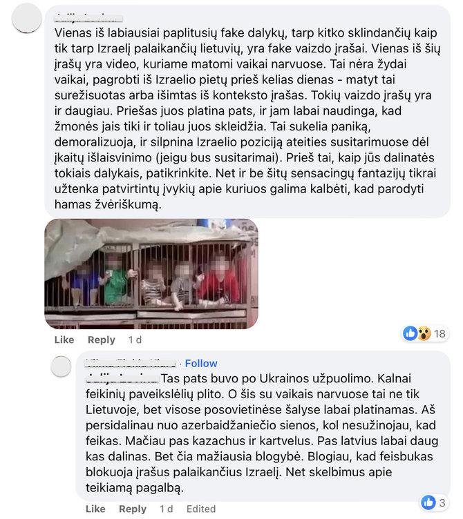 Ekrano nuotr. iš „Facebook“/Lietuviai taip pat įspėja, kad vaikai nėra „Hamas“ įkaitai
